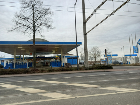 Koeln Poll